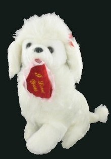 LINDO CANICHE CON CORAZ&Oacute;N