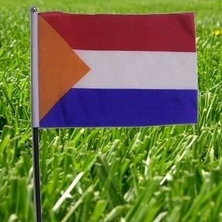 Bandera de los Pa&iacute;ses Bajos (22 uds.)
