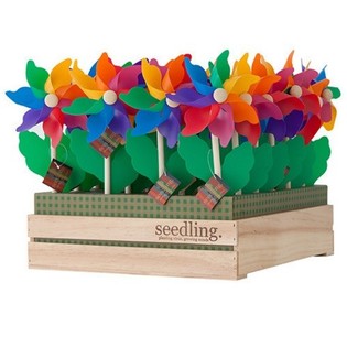 SEEDLING - MOLINILLOS DE VIENTO EN EXPOSITOR (20 uds.)